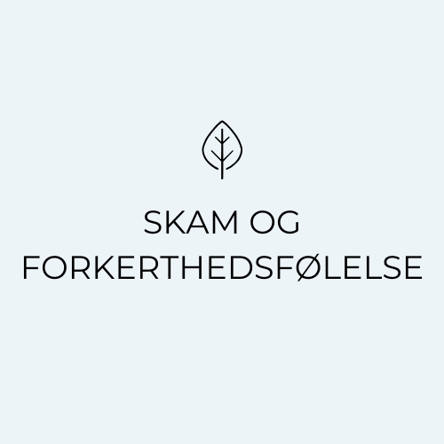 Kæmper du med skam eller forkerthedsfølelse? Psykologhjælp i trygge rammer til skam og forkerthedsfølelse - online eller i Hillerød. Rabat til unge, studerende og ledige samt kort ventetid. 
